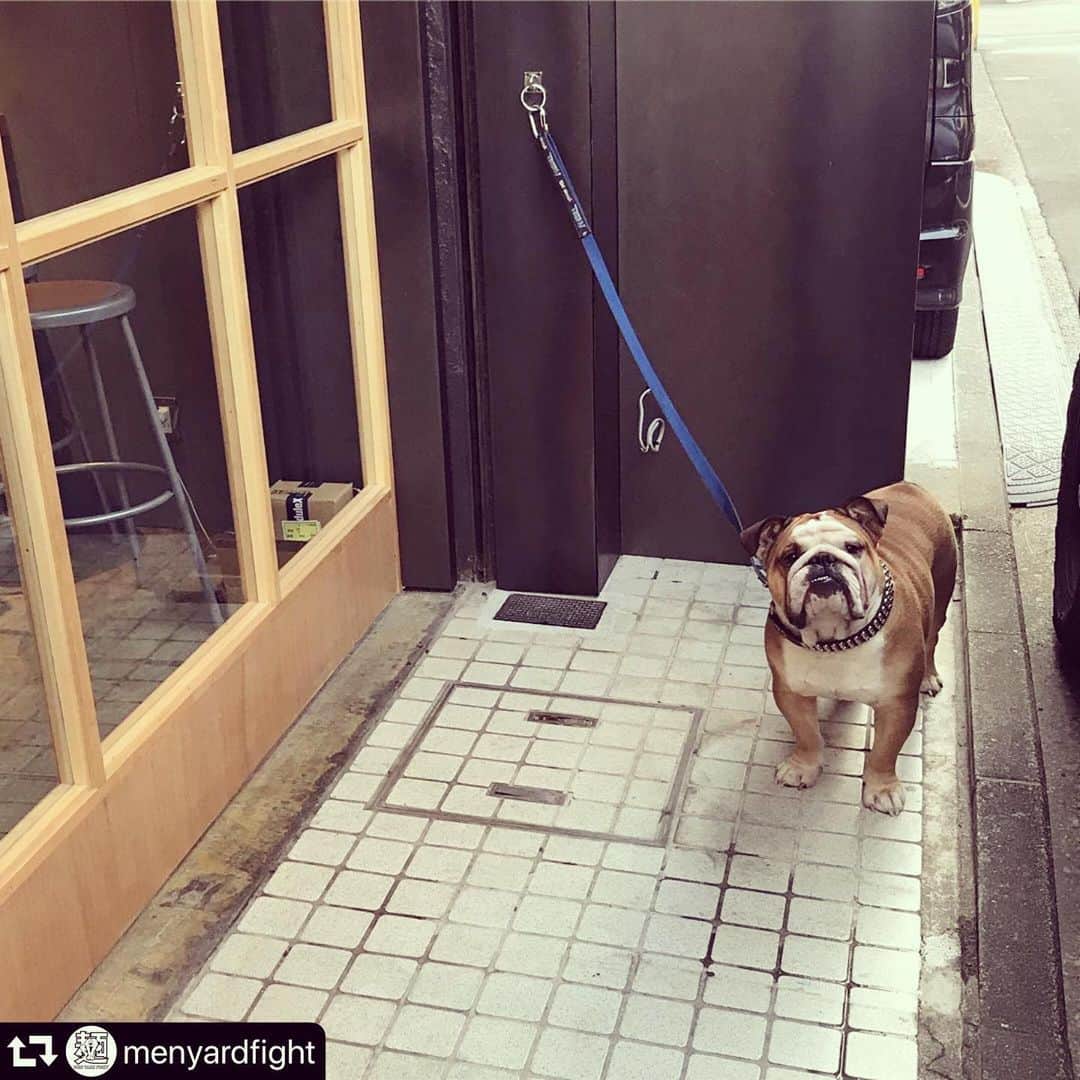 山嵜廣和のインスタグラム：「オープンおめでとうございます！！お近くの皆さま、どうぞご贔屓に御願い致します。#repost @menyardfight ・・・ 明日10/8 18時OPENです。 まだジオタグ出てこないんですけど住所は  横浜市神奈川区反町3-23-14  店舗設計はMETRONOME Inc.  スタッフの愛想も良く大変明るいお店です(仮)。宜しくお願いします。  #ラーメンインスタグラマー #ラーメン健康法 #ラーメン連食タフガイ #ラーメン女子 #ラーメン婚活 #ラーメンダイエット #ラーメンアスリート #ラーメンパトロール #ラーメン #RAHに感謝 #麺テナンス #whatsup麺 #麺スタグラム #menyardfight #麺yardfight #麺ヤードファイト #メンヤードファイト」