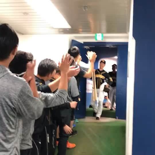 阪神タイガースのインスタグラム