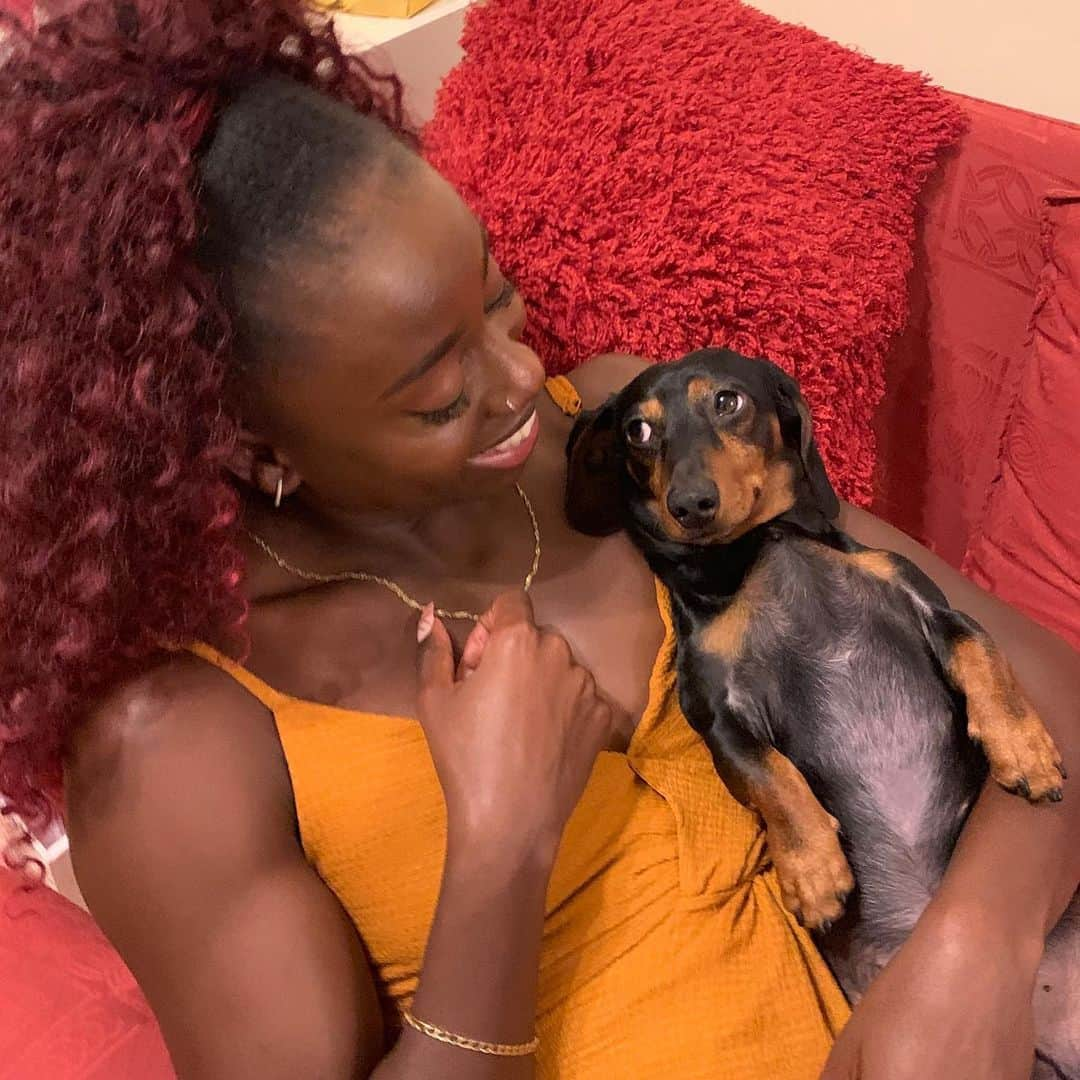 デズリー・ヘンリーさんのインスタグラム写真 - (デズリー・ヘンリーInstagram)「I’ll finally admit that I treat my dog @dachshund_henry a little bit too much like a baby after seeing these pictures 😂 🙈 -  #HeLovesIt #PartOfTheFamily #SmilingDog  #HenryHenry #Dachshund #SausageDog #Dogsofinstagram 🐾 * 📸 @roya__x」10月7日 23時02分 - desiree_lh