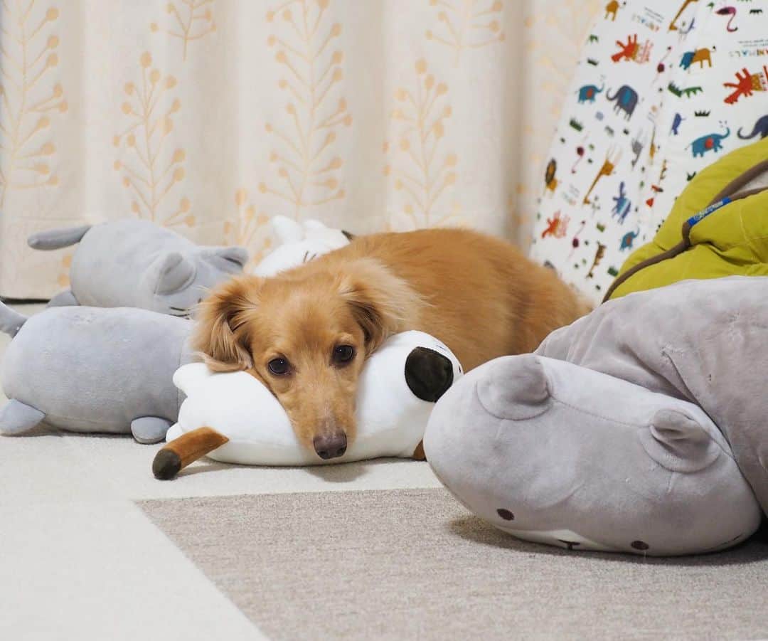 Sora Momoのインスタグラム