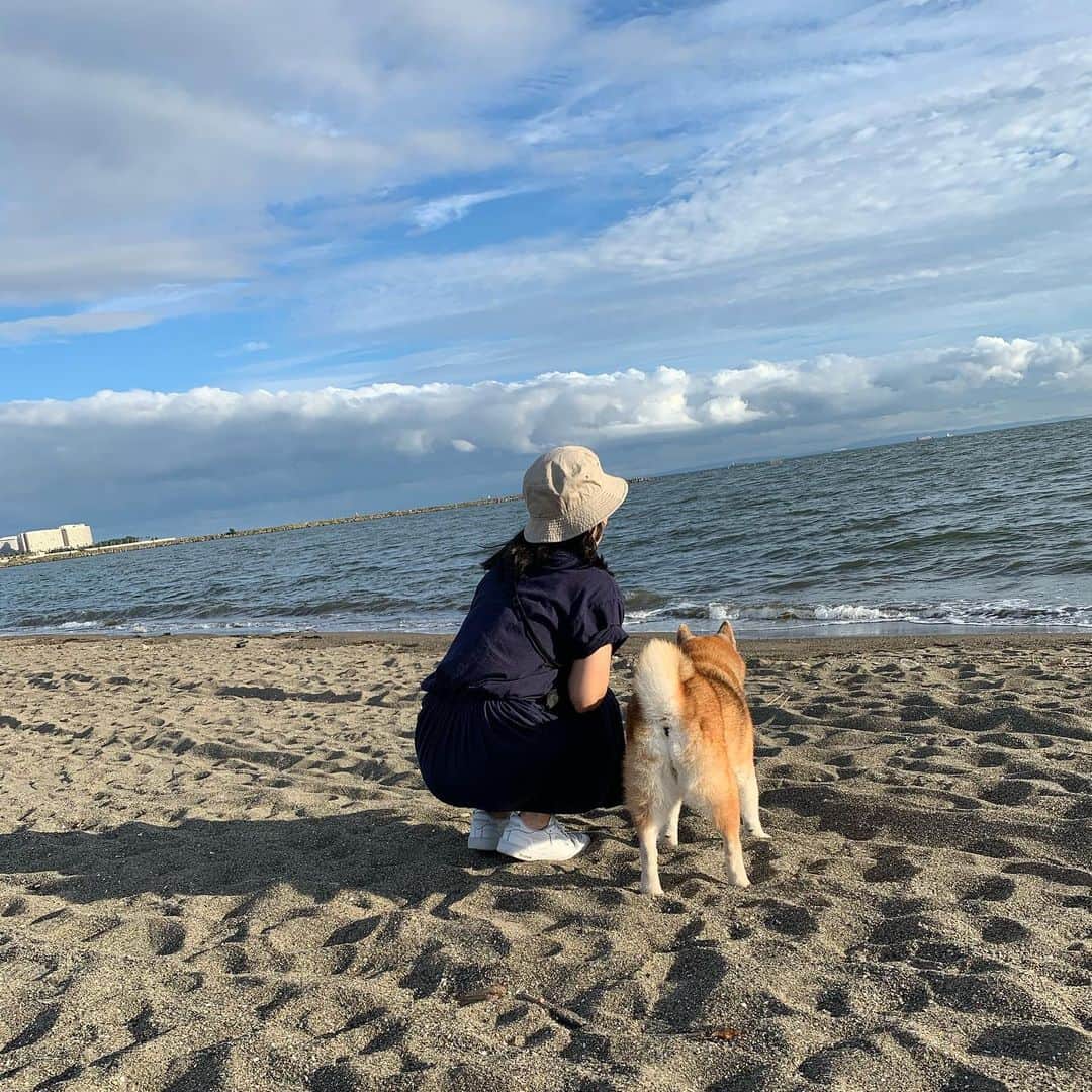 大関れいかさんのインスタグラム写真 - (大関れいかInstagram)「. すっぴんおばさんと犬の思い出たち🐶 この前パパの誕生日なので 実家へ帰ってみんなで久しぶりに ガッツの散歩した〜。 うちの犬が世界一かわみ👼❤️ 喜んでた、すき。 #犬と我のめもりー#ガッツ #shibainu#shibastagram」10月7日 23時34分 - _reikaoozeki