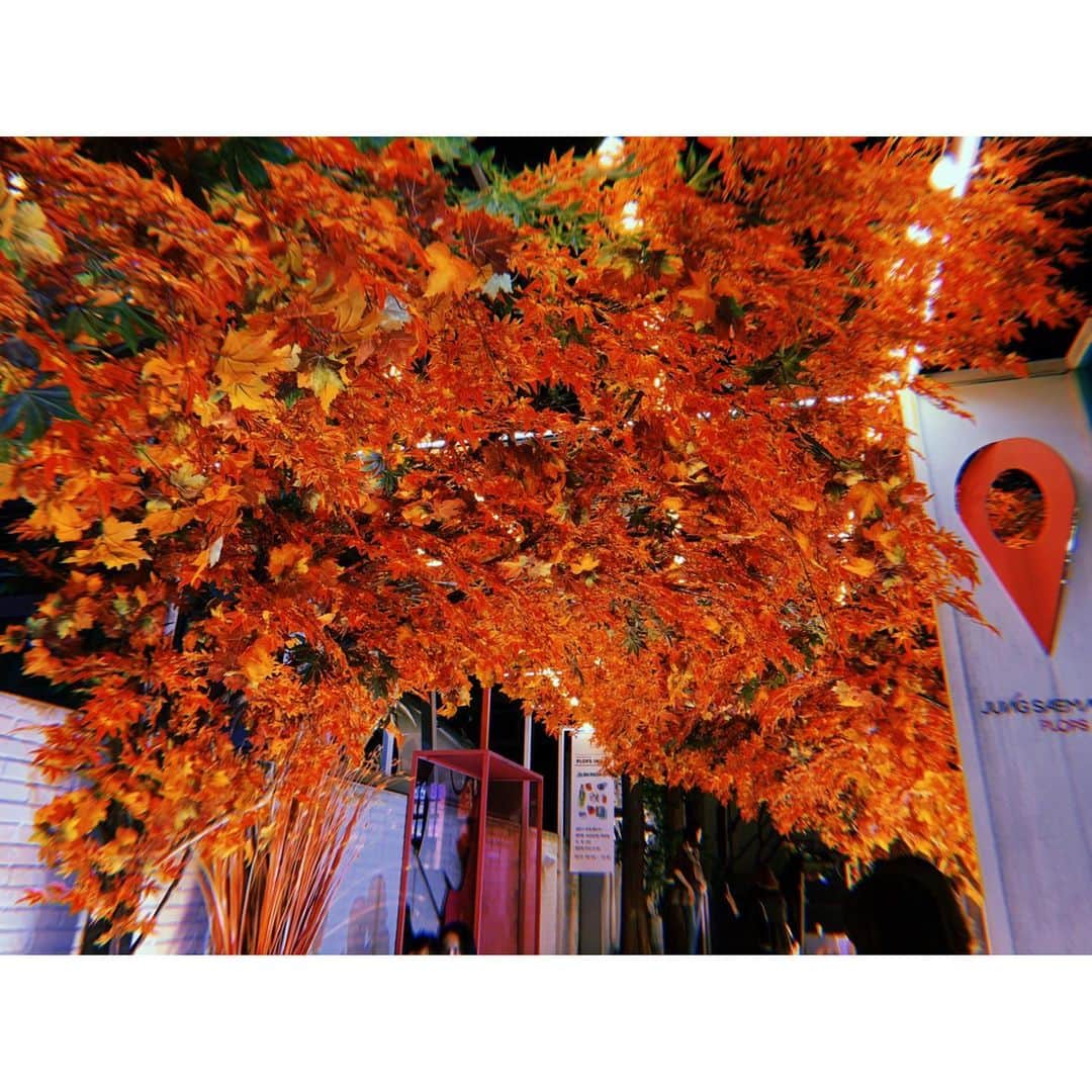 森咲樹さんのインスタグラム写真 - (森咲樹Instagram)「﻿ ＊﻿ ﻿ ねえねえ。見て？☺️﻿ ﻿ ﻿ ﻿」10月7日 23時48分 - mori_saki_official