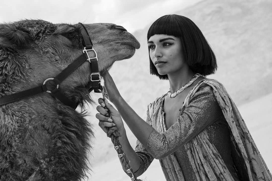 ブルース・ウェーバーさんのインスタグラム写真 - (ブルース・ウェーバーInstagram)「“If you love, love the moon; if you steal, steal a camel.” —Egyptian proverb // Madison DeSilva @madisondesilva_ (@fordmodels) in my new story for Holiday Magazine—the Egypt issue—out now.  production by @elizabethklinemurphy • styling @anabrillembourg • hair by @geralddecock • makeup @reginethorre • props by @dimitri_unique • choreography @richamaro • photo assistants @jhnscttphtgrphy and Zac Rupprecht •  production assistants @borisskateboards @farnsyy • camel provided by Dennis and Nancy Deveaugh at Little Critters Corral (@livestockforreel)• special thanks to Franck Durand @atelierfranckdurand」10月8日 0時16分 - bruce_weber