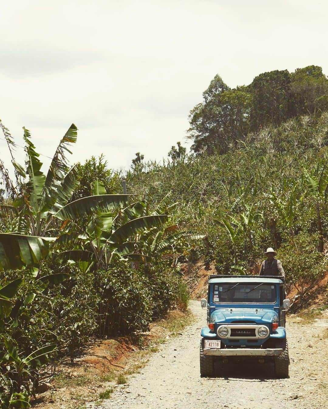 TANYのインスタグラム：「#photoshoot  LA LIA COFFEE FARM MICROBENFICIO 100% SUN DRY COFFEE  #coffee #coffeefarm #exclusivecoffee #costarica #lalia」