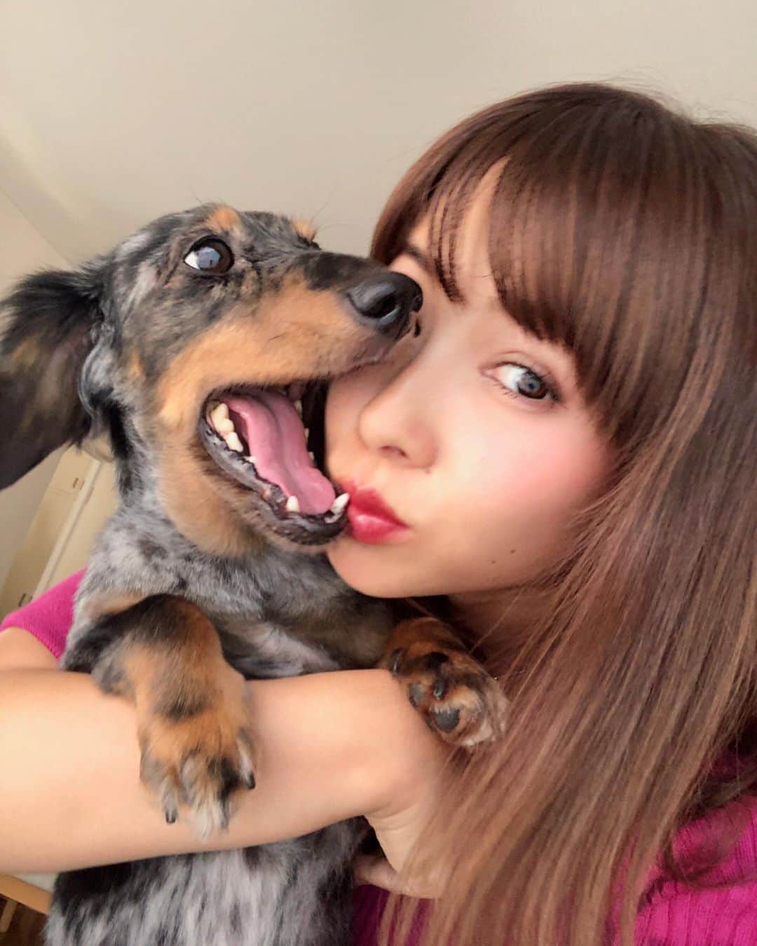 阪本智子のインスタグラム