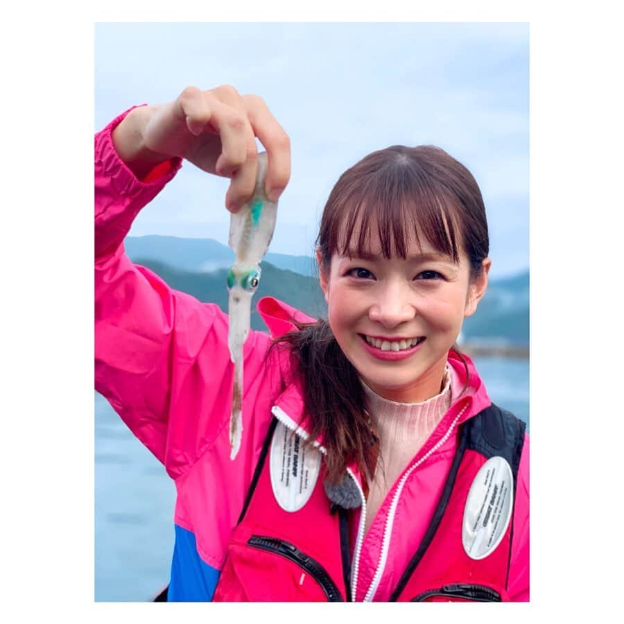 酒井瞳さんのインスタグラム写真 - (酒井瞳Instagram)「#よかばん 久しぶりのばんめし企画は店長拘りの毎日釣れたてホヤホヤのイカが食べられるお店に行ってきました！ 美味しいイカが食べれるのはその日の釣れ高次第！その味は絶品！！料理法も色々！！！イカの旨味を全て味わってきました！！！！ 今夜19時5分からです(^ ^) #宮崎 #宮崎県 #UMK #うまミヤザキ #釣れたて #イカ #イカ釣り #店長 #キャラ濃い #笑」10月8日 11時19分 - s.sakaihitomi