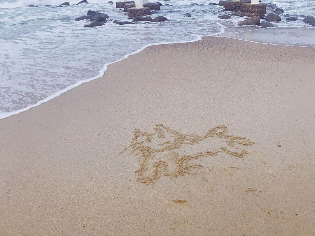 中村優さんのインスタグラム写真 - (中村優Instagram)「茂木さんが砂浜に描いたネコさん🐈🌊」10月8日 21時39分 - nkmr_yu