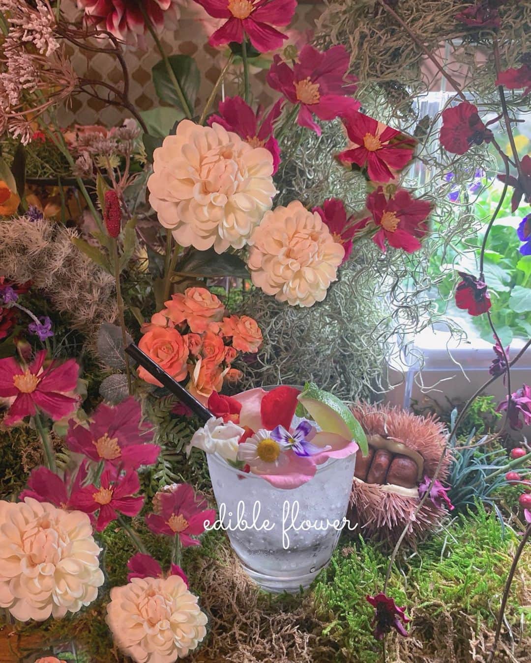 maari watanabe(まありん)さんのインスタグラム写真 - (maari watanabe(まありん)Instagram)「.*⑅︎୨୧┈︎┈︎┈︎┈︎┈︎┈︎┈┈︎┈︎┈︎┈︎┈︎୨୧⑅︎* .  ㅤㅤㅤㅤㅤㅤㅤㅤㅤㅤ ㅤㅤㅤㅤㅤㅤㅤㅤㅤㅤ ˗ˏˋ  𝕔𝕒𝕗𝕖  ˎˊ˗ ㅤㅤㅤㅤㅤㅤㅤㅤㅤㅤ 📍tokyo gohan池袋 ㅤㅤㅤㅤㅤㅤㅤㅤㅤㅤ 今日からスタートのメニュー、お花のカクテルを体験してきました🌸✨ 池袋店限定でお花を自分で積んで飾って楽しめるモヒートが販売されてるんです✨こういうのすっごい楽しい😍 お店の一角がお花畑になってました！ ドリンクはノンアルコールにもできたよ🙆‍♀️ おいしい花畑のドリンクは、 10月8日〜11月11日までの期間限定🌻  Access 東京都豊島区東池袋1-21-13 aune池袋 3F .*⑅︎୨୧┈︎┈︎┈︎┈︎┈︎┈︎┈┈︎┈︎┈︎┈︎┈︎୨୧⑅︎* .  #pr #gohan池袋 #watami #おいしい花畑 #池袋カフェ #東京カフェ #tokyocafe #tokyotrip #インスタ映えスイーツ #フォトジェニックスイーツ #お花カフェ #エディブルフラワー #东京 #赞 #まありんカフェ巡り」10月8日 21時40分 - manyo_wt