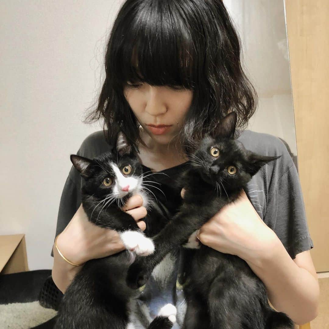 小谷実由さんのインスタグラム写真 - (小谷実由Instagram)「憧れの二匹抱き、、🤦🏻‍♀️❤️猫BBA冥利に尽きる」10月8日 21時49分 - omiyuno