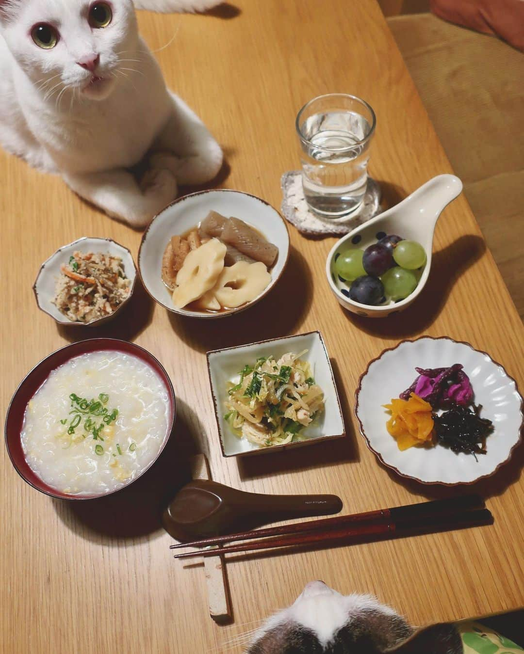 八、おこめさんのインスタグラム写真 - (八、おこめInstagram)「八おこにサンドイッチされたw 時々、食べたくなるお粥さん♪ おかずは『ザ・和！』やけど、お粥は中華風のお粥にした。 デザートは石川のお実家から届いたぶどう🍇 地元はぶどうと梨が有名✨ お父はんは先週から出張中〜‼︎ #渡辺キエ さんの器が好きなのです❤︎ #八おこめ #ねこ部 #cat #ねこ #猫 #ネコ #八おこめ食べ物」10月8日 22時08分 - naomiuno