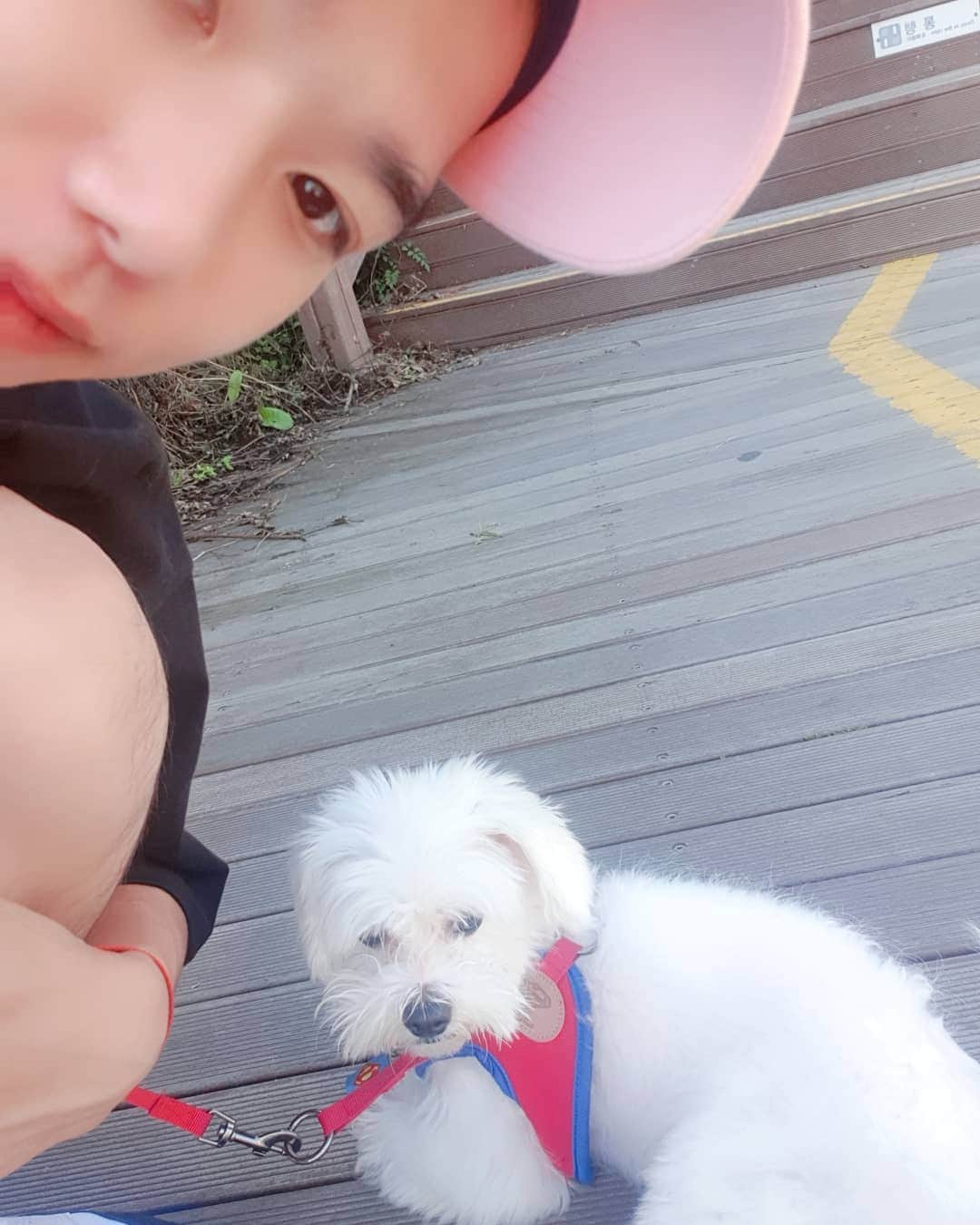 ロクヒョンさんのインスタグラム写真 - (ロクヒョンInstagram)「내친구 보리🐶」10月8日 13時39分 - k_rockhyeon