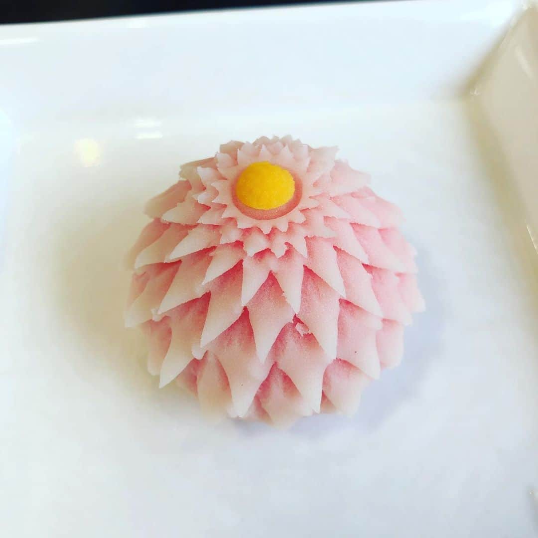 田中雅美さんのインスタグラム写真 - (田中雅美Instagram)「先日の土曜日、TokyoMX「お江戸に恋して」のVTR内で放送したロケで作った和菓子の菊。  人生初としては上出来？？(๑˃̵ᴗ˂̵) お褒めのお言葉いただきました。  御菓子屋の扇屋さん、ありがとうございました♡  #和菓子 #滑らかな餡 #初体験 #菊作り」10月8日 13時58分 - tanakamasami_official