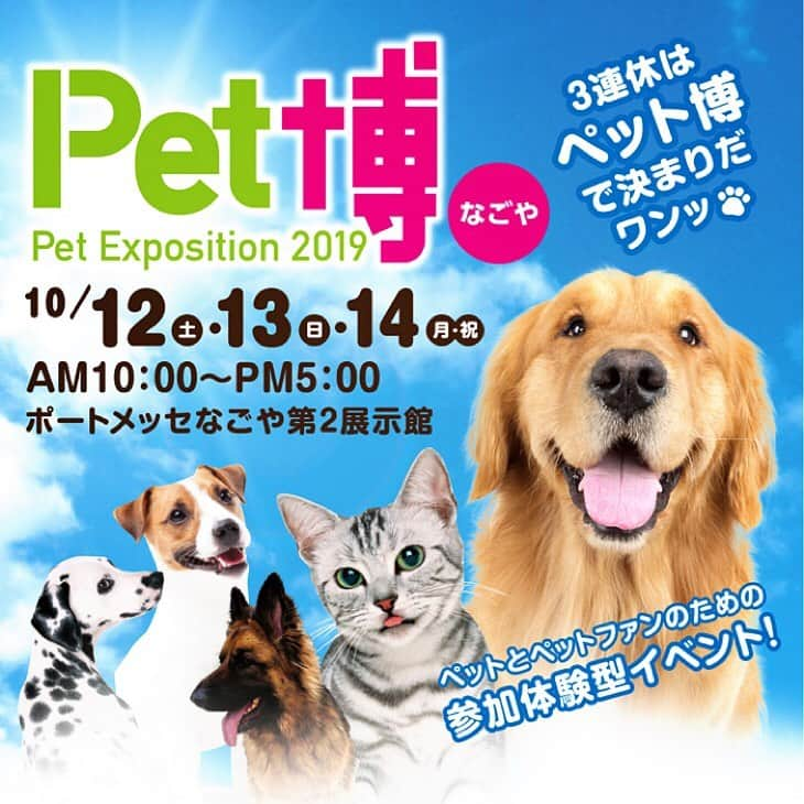 大原かおりさんのインスタグラム写真 - (大原かおりInstagram)「久しぶりのイベント出展🐶😸 10月12日(土)〜14日(月.祝)の3連休は名古屋ペット博💖 ☺︎ 新作商品のサンプルがギリギリで仕上がってきそうです🤪💕 届いている商品の写真は、後ほどアップしますね🐶❤️ ☺︎ 名古屋ペット博では、秋冬の新作商品の販売&受注会にプラスして、ペット博価格で販売するお買い得のお洋服コーナー、20%OFFのコーナー、50%OFFのコーナー、HELLO KITTYの迷子札とネームタグや、可愛いベッドの特売などペット博ならではのお買い得商品が満載です🤗❤️ 全ての商品が試着出来ますのでお近くの方は、ぜひ遊びに来て下さい〜👯‍♀️🐶💕 ☺︎ 今回もメインステージで『大原がおりのジャンケン大会』あります😉✊✌️🖐 時間は3日間ともに15時45分から❤️ いっぱいプレゼント持っていきまーす😘🎁 * 🐶Pet博2019・名古屋🐶 10月12日(土)～14日(月.祝) 10:00〜17:00 ポートメッセなごや 第2展示館 名古屋市港区金城ふ頭2-2 http://www.pethaku.com/nagoya * #Otty #オッティ #名古屋ペット博 #Pet博 #販売会 #じゃんけん大会 #ペットイベント #ペット同伴 #イベント #トークショー #松本くん #BonBonCopine #ボンボンコピーヌ #垣内りか ちゃん #ポカスカジャン #大久保ノブオ さん #小原玲 さん#吉田山田 さん#ペット自慢 #キャットショー #ポートメッセなごや #三連休 #ペットと一緒に #遊びに来てね #🐶 #😸 #🐰 #🐒 #🐥 #💕」10月8日 14時01分 - oharagaori_otty