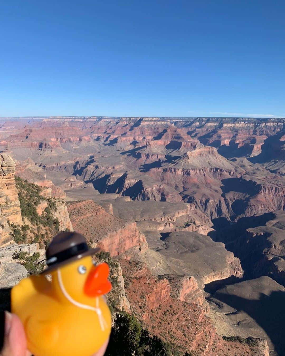 武藤京子さんのインスタグラム写真 - (武藤京子Instagram)「* * 再投稿 * Grand Canyon！！！ * 息をのむ光景でした * ただただ 自分の小ささを実感… * ロッジ売店で出会った ご当地ダックと * 4・5枚目 グランドキャニオンの日の出 * #投稿を #編集しようとしたら #何故か消してしまい再投稿 #いいねコメント下さった方 #ごめんなさい  #加工なし  #グランドキャニオン  #グランドキャニオン国立公園  #マザーポイント  #グランドサークル  #ご当地ダック  #ラバーダッキー  #ガーガーダック」10月8日 14時41分 - kyokomuto0628