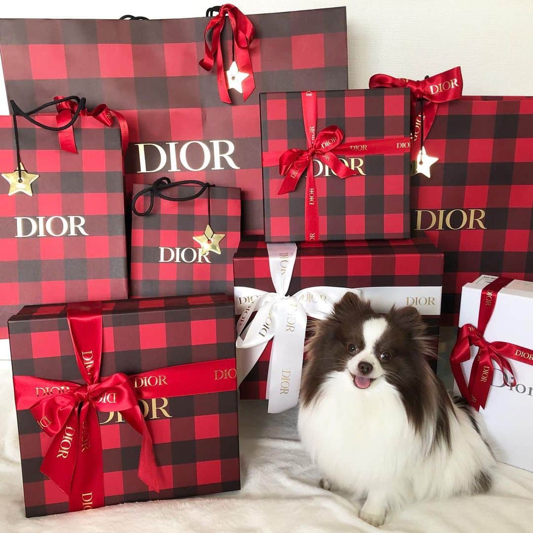 mycoのインスタグラム：「秋の準備はDiorにしたよ❤️🖤 りりさんも並んでた🐶  #dior #ootd #pom #diorshoes #diorbag #dioraddict」