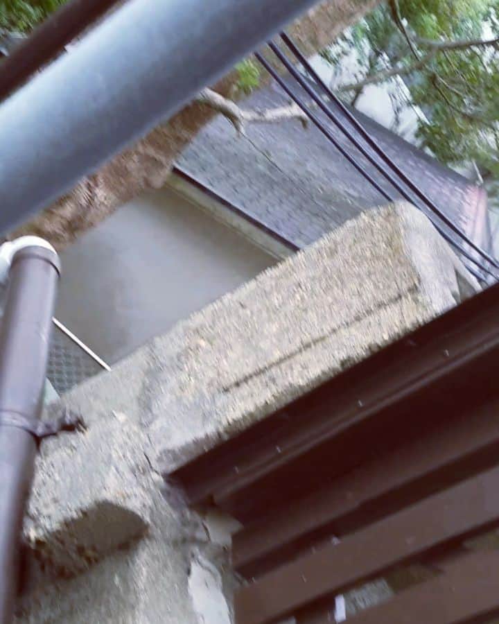 金本浩二のインスタグラム：「塩屋の映える😄階段 何が映えるじゃ～😁💦」