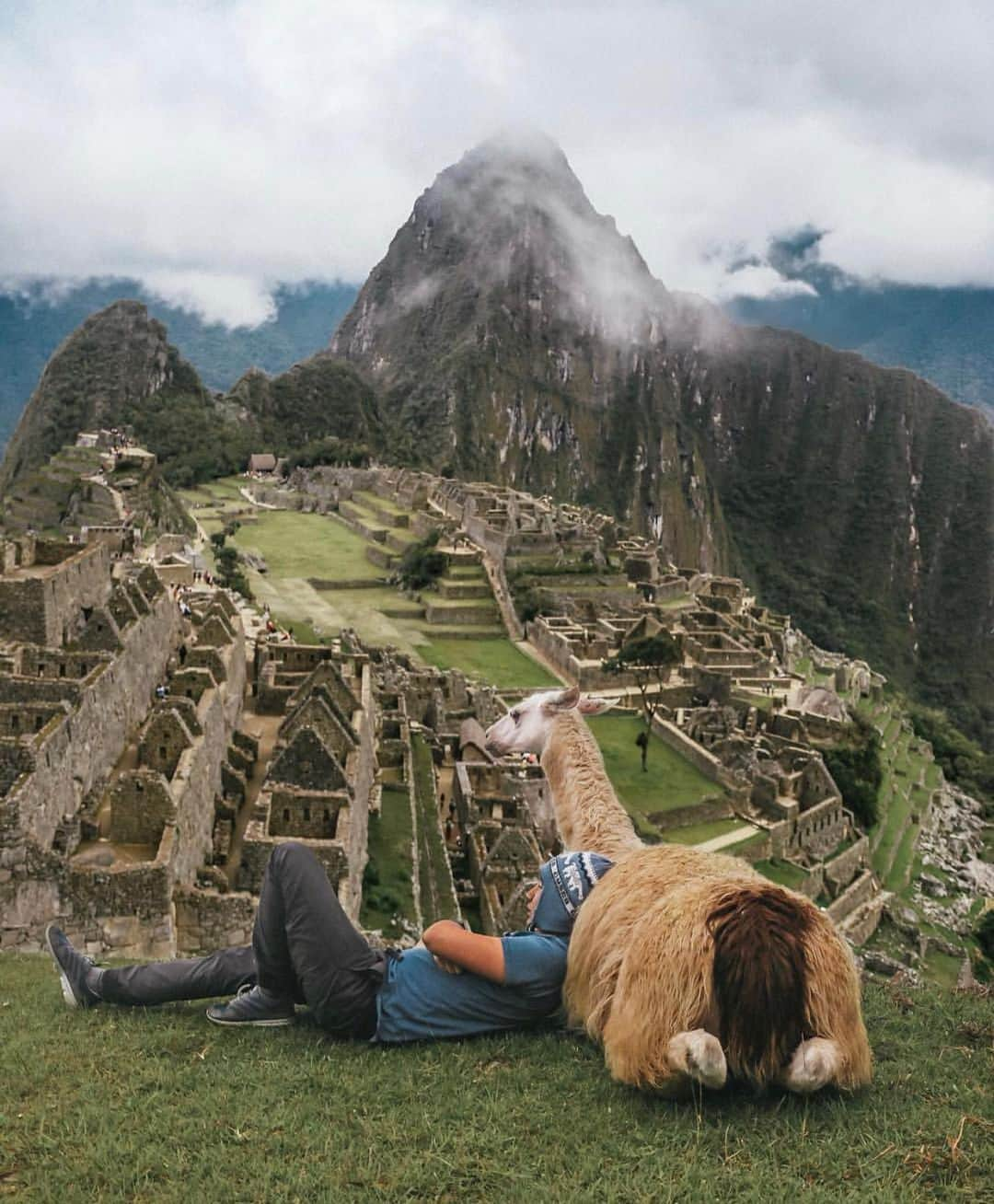 Earth Picsさんのインスタグラム写真 - (Earth PicsInstagram)「Chilling with my llama 🦙 in Machu Picchu, Peru 🇵🇪 and rainbow 🌈 mountains on second pixels 📸: @dan_a_t . . . #earthpix #wildlifephotography  #photography #earth #travel  #animals #nature #naturephotography #awesome_earthpix #travelblog, #travels, #traveladdict, #travellife, #travelphoto, #travelpics, #traveldiaries, #travelbug, #travelawesome, #travelpic, #travelers, #travelgirl, #traveldiary, #traveldeeper, #travellingthroughtheworld, #travellers, #travelmore,#traveller, #travellersclub,」10月8日 15時58分 - earthpix