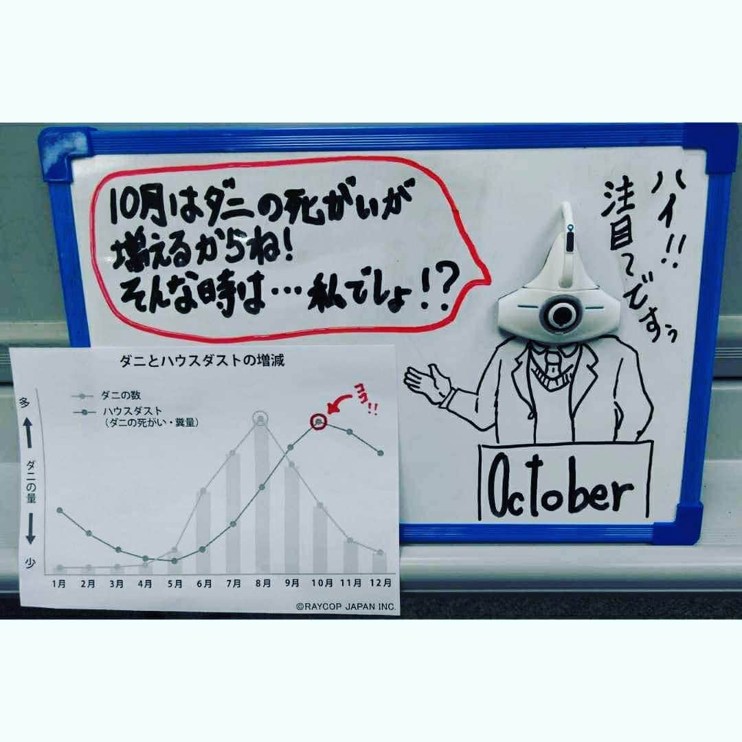 レイコップ・ジャパン株式会社さんのインスタグラム写真 - (レイコップ・ジャパン株式会社Instagram)「皆さま～、夏も過ぎて涼しい季節になりましたね！ けれども！夏に育ったダニさん達がこの季節に大量の死がいとなってアレル物質になります(゜ロ゜; 夏の湿気などで大量発生したダニの寿命 が10月とお考えいただければ分かりやすいですかね！  枕などのダニの死がいやフンを一番吸い込みやすくなりますので気をつけてくださいね！ ※お食事中の方々、すみません😢  こんなときに簡単ケアをオススメします(^3^)/菌も繁殖しないようにしっかり除菌もお願いしますね！  良い睡眠を～～☺️✨ .  #ダニ #ダニ対策 #アレルゲン #簡単ケア #レイコップ #ふとんクリーナー」10月8日 17時09分 - raycop_japan