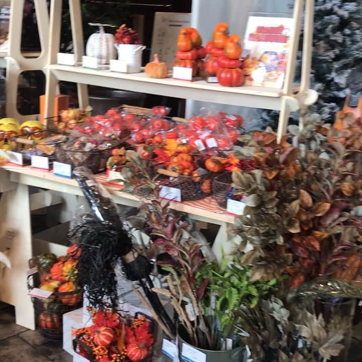 横浜ディスプレイミュージアムのインスタグラム：「ハロウィン商品セールが始まっております！ 上代より20%オフとなっております🎃 商品も残り少なくなって来ていますので、ハロウィンパーティーをご予定の方はお急ぎくださいませ〜👻 ＊ ＊ #横浜ディスプレイミュージアム #株式会社ポピー #横浜 #ディスプレイ#アーティフィシャルフラワー #フラワーアレンジメント #フラワーデザイン #インテリア雑貨 #インテリア#インテリアコーディネート#スタイリスト#装飾#デコレーション  #花のある暮らし #花好きな人と繋がりたい #display #yokohama #flowerarrangement #interiordesign #artficialflower #flowerstagram#ハロウィン#ハロウィンパーティー」