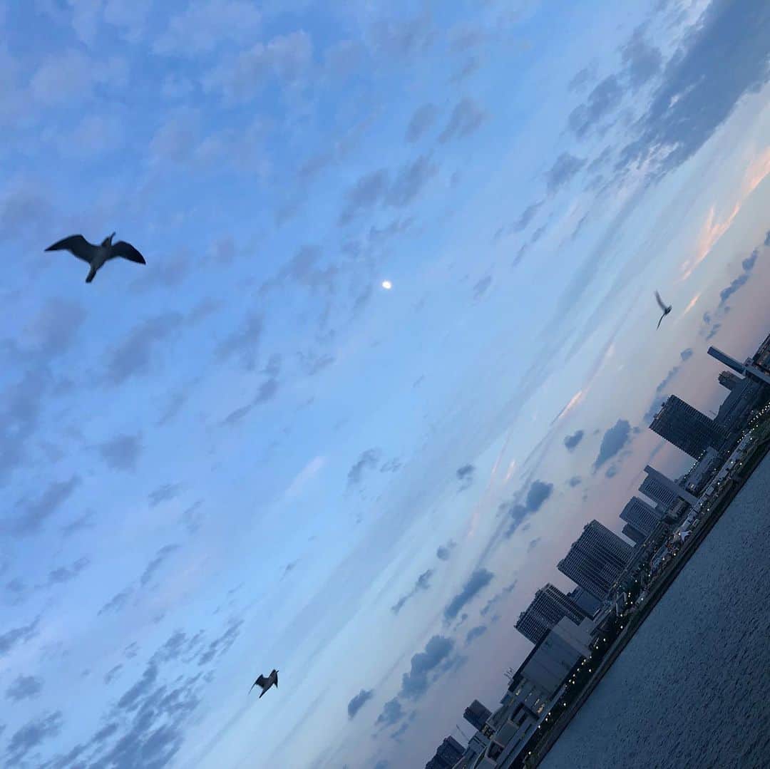 馬場典子さんのインスタグラム写真 - (馬場典子Instagram)「#baybridge #tokyotower #seagull #tokyobay #moon #sunsettime」10月8日 18時13分 - baba_channel