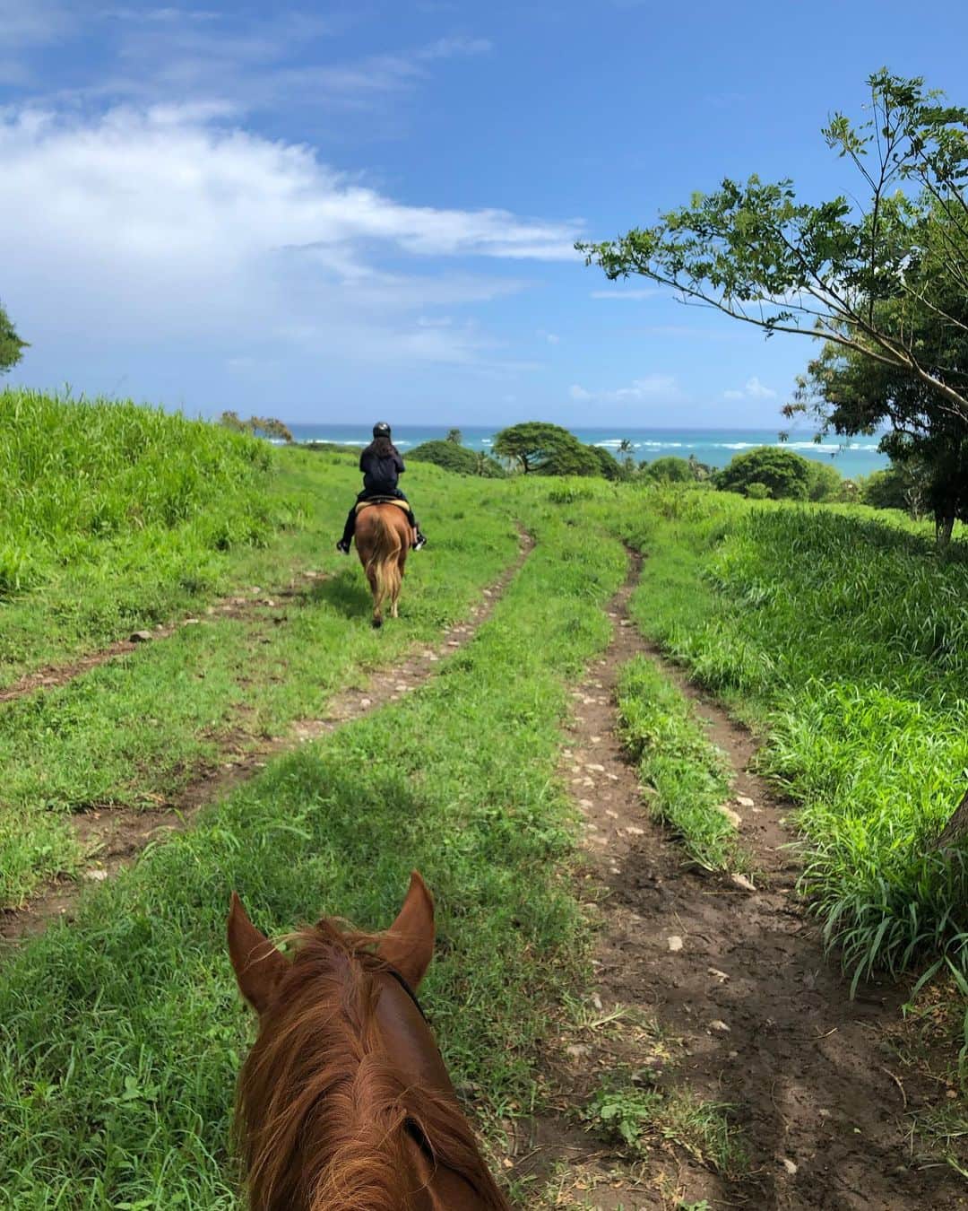 若林紀元のインスタグラム：「無事帰国しました!! 大自然に触れ、美味しいもの食べて、現地の友達にも会えて最高の夏休みになりました🏝  携帯から少し離れてみてすっきり!! 年末までまた全力で走ろう。 お休みありがとうございました🙇 . #夏休み #ハワイ」