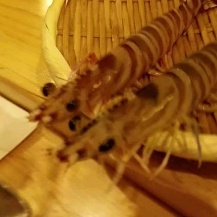 勝田一樹のグルメインスタ