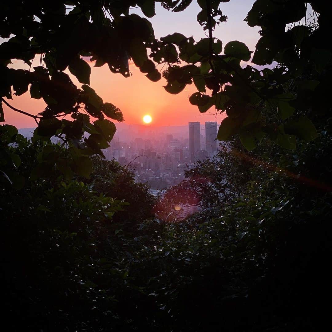 林信行さんのインスタグラム写真 - (林信行Instagram)「#Taipei #sunset #台北 の #夕陽」10月8日 19時01分 - nobihaya