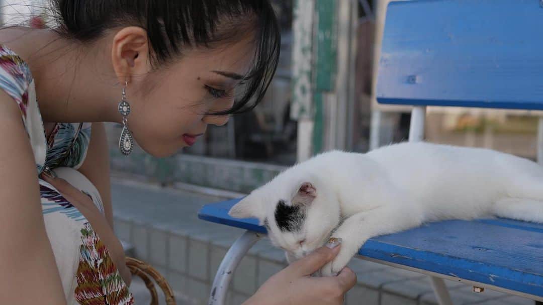MAYUKIさんのインスタグラム写真 - (MAYUKIInstagram)「沖縄の野良ニャンたちは みんな人懐っこくて癒されたよ 🐱💕 . #沖縄 #名護 #猫 #oki #okinawa #nago #cat」10月8日 20時16分 - mayuki_c