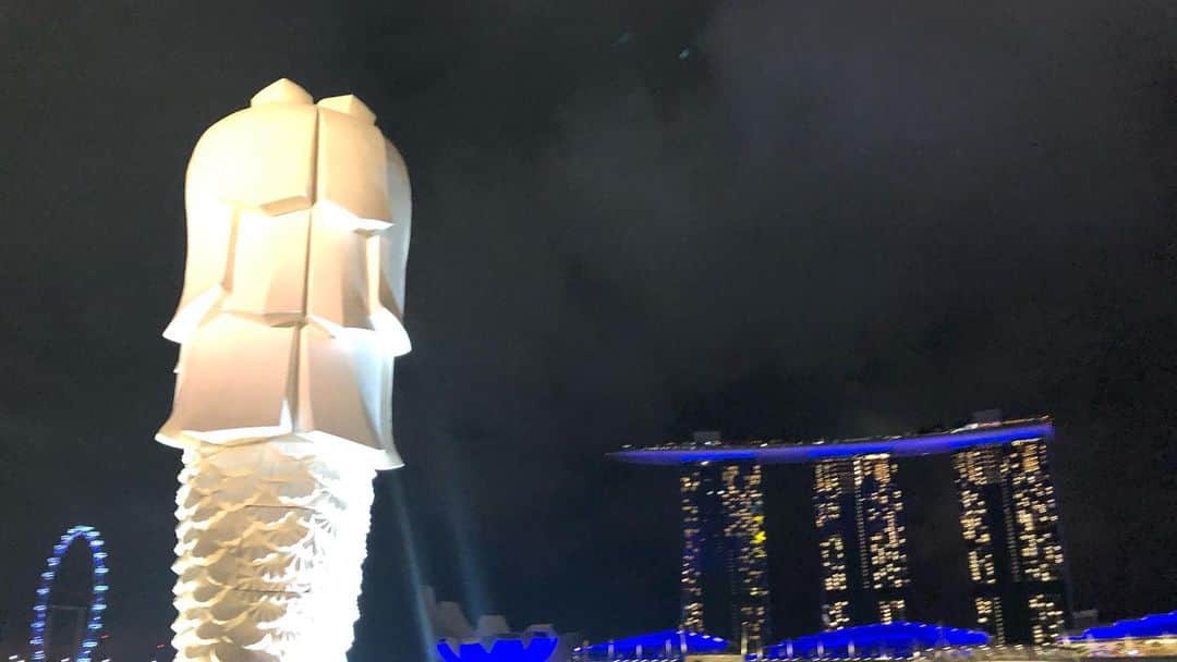 時田愛梨さんのインスタグラム写真 - (時田愛梨Instagram)「夜景🏙マーライオン⛲  #singapore #marlion #greatnight #beautiful #neonlights #marinabaysands #funtastic #bayfront  #girls #sightings #trip  #夜景 #マーライオン #シンガポール #これぞ王道 #観光 #綺麗すぎ #自分がちっぽけに思える #マーライオンにやられる #いい夜」10月8日 20時27分 - eri_tokita