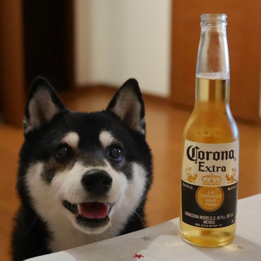 くろのインスタグラム