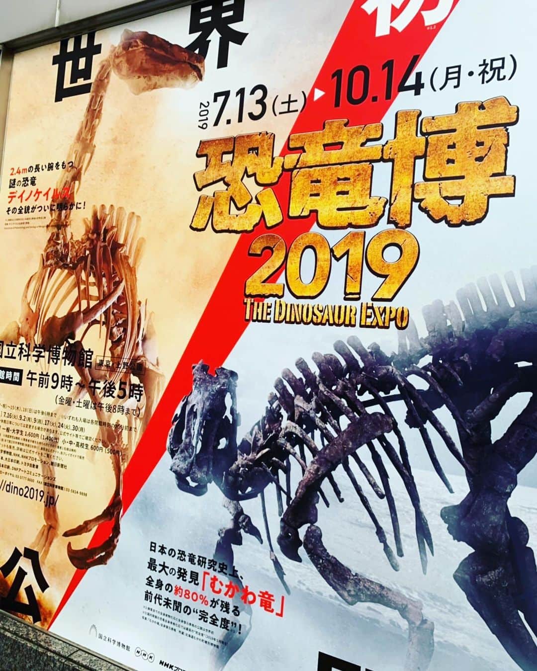 石井講祐のインスタグラム：「いただいたチケットで、行ってきました恐竜博2019🦖 引換出来たフィギュアはめっちゃ豪華でテンション上がる！！ 期間ギリギリに間に合ってよかった！ チケットありがとうございました！^_^  #恐竜博2019 #国立科学博物館 #展示されてた恐竜はアプリで捕獲済み #恐竜家の方々がたくさん #Tシャツはいつかお披露目」