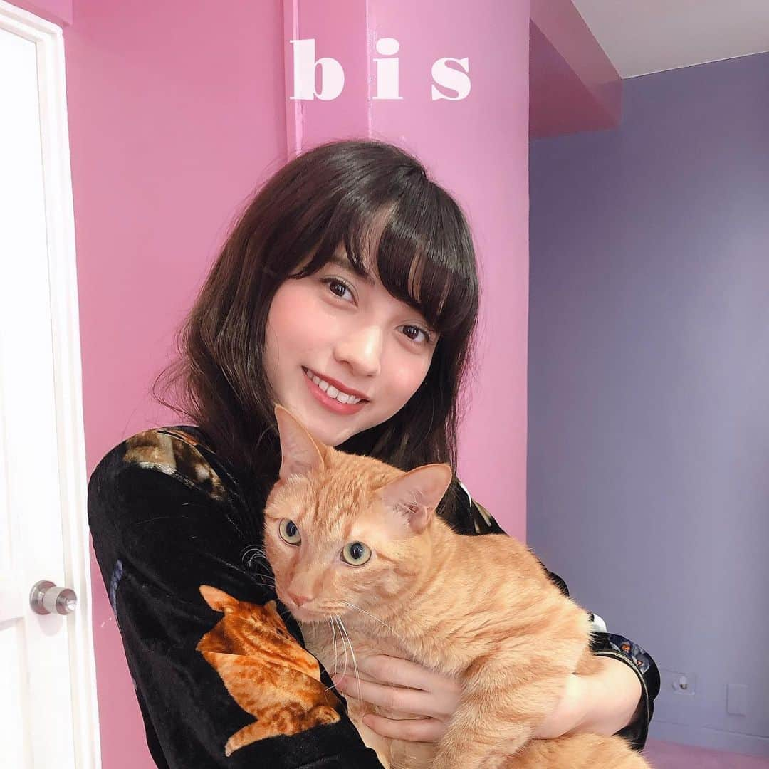 bis_web bis [ビス] さんのインスタグラム写真 - (bis_web bis [ビス] Instagram)「🌷 𝐧𝐞𝐰 𝐢𝐬𝐬𝐮𝐞 🌷﻿ ﻿ ﻿ bis  November 2019﻿ ﻿  𝑁𝐸𝑊  𝐺𝐼𝑅𝐿  𝑂𝑅𝐷𝐸𝑅﻿ -  新時代のプリンセス -﻿ ﻿ ﻿今月号より、桃月なしこちゃんが﻿ bisレギュラーモデルに…❤️﻿ ﻿ ﻿ 𝙂𝙄𝙍𝙇𝙏𝙃𝙄𝙉𝙂  フェミニティーを生み出す甘いランジェリーに登場。ランジェリーをガーリーに着こなすなしこちゃんに注目！💕﻿ ﻿ ﻿ねこちゃんと仲良しな、なしこちゃんの映像も﻿スワイプしてチェックしてね！🐈﻿ ﻿ ﻿ ﻿ 好評発売中 [ bis 11月号 ] は全国の書店、﻿ セブンネット、楽天ブックス、HMV&BOOKS、SHIBUYA TSUTAYAでゲットしてね！﻿ ﻿ ﻿ ﻿ ﻿ ﻿ ﻿ #桃月なしこ#乃木坂46 #与田祐希 #道重さゆみ #内田理央  #牧野真莉愛 #NANAMI  #川津明日香 #田中真琴 #中村里砂 #愛子 #上國料萌衣 #柴田あやな #小宮有紗 #大谷映美里  #川谷絵音 #佐藤勝利 #黒島結菜 #原田葵 #上村莉菜 #森田ひかる #欅坂46  #bis_web #ねこ #ねこすたぐらむ」10月9日 0時04分 - bis_web