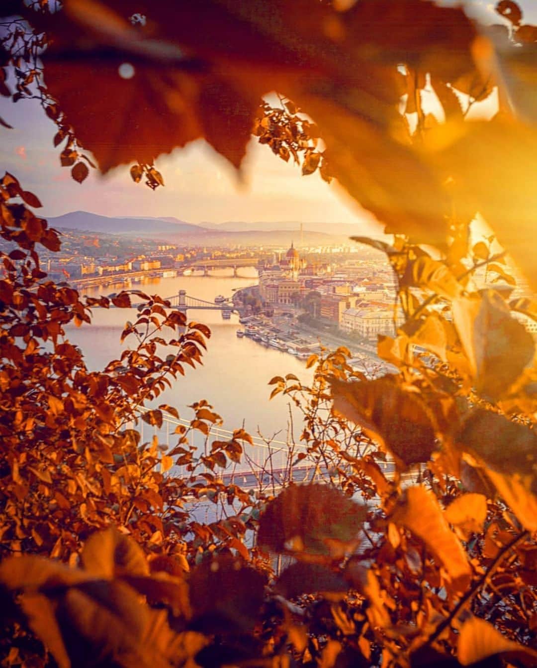 Wonderful Placesさんのインスタグラム写真 - (Wonderful PlacesInstagram)「Fall in Budapest ✨🍁🍁🍁✨ . Pictures by ✨✨@krenn_imre✨✨ #wonderful_places for a feature ❤️」10月9日 1時04分 - wonderful_places