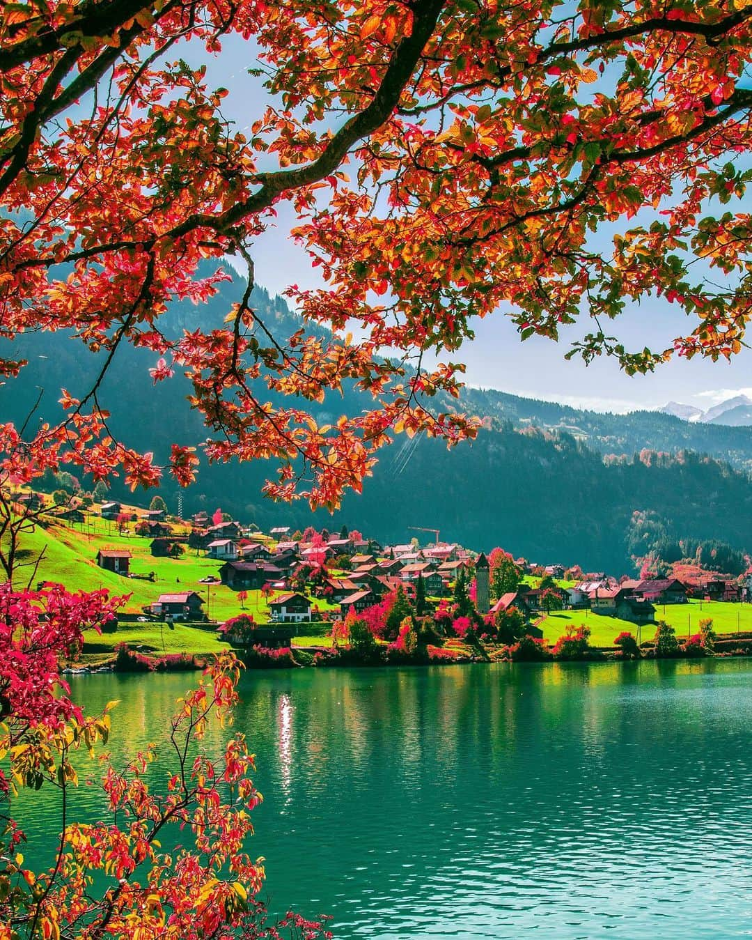 Hatice Korkmaz The Color Queenのインスタグラム：「Autumn🍂🍁 in #switzerland #lungern #nature #colors」