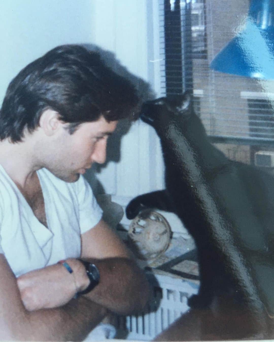 デイヴィッド・ドゥカヴニーのインスタグラム：「This cat was originally named Alien because she hissed like the baby alien coming out of John Hurt’s chest. But a friend asked me her name and heard “Ableman,” so she became better known as “Ableman.” 👽🐱」