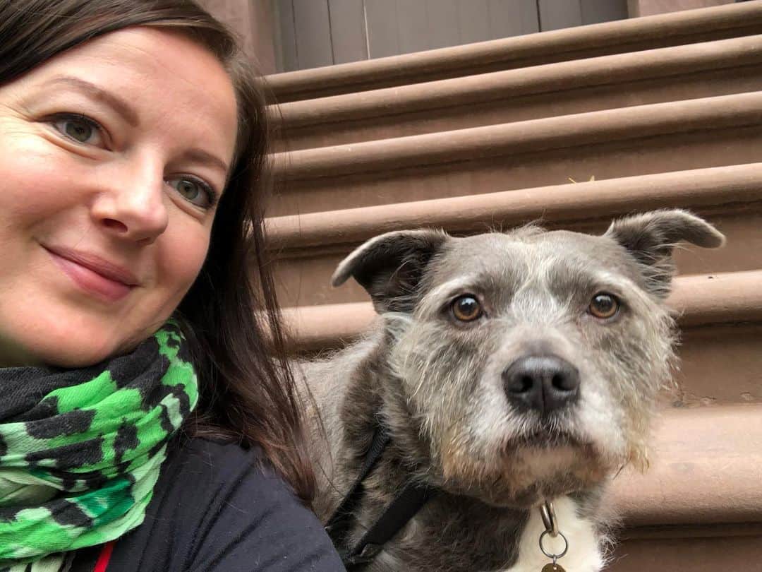 ズザンナ・シャコフスキーのインスタグラム：「#stoopsittin #brooklyn -#dogsofinstagram #dogsofbrooklynheights #dogsofbrooklyn」