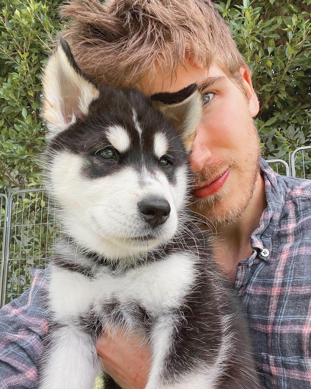 ジョーイ・グレーセッファのインスタグラム：「I’m Baaaaaack! Finally feeling better! 🙌🏼 thanks for all the well wishes while I was away! Me and the puppers have missed you guys! ♥️🐶 10 points to whoever can tell me which puppy this is? 🧐」