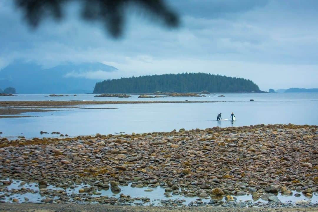 National Geographic Travelさんのインスタグラム写真 - (National Geographic TravelInstagram)「Photo by @emilypolar | Surfers wading through low tide head out in search of waves south of Ucluelet on Vancouver Island. To see more of Vancouver Island and beyond, follow me @emilypolar. #VancouverIsland #Ucluelet #Canada」10月9日 5時05分 - natgeotravel