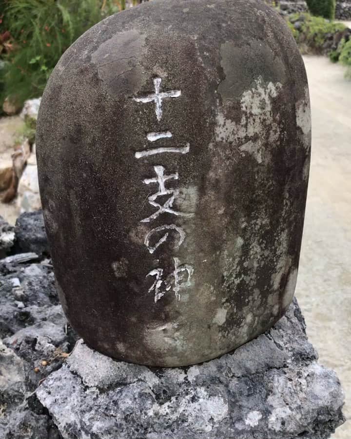 三好ジェームスのインスタグラム：「竹富島で発見！！ 干支の形をした石がズラリ！！ #竹富島＃八重山諸島#水 牛車#干支#干支の石#赤瓦屋根#長閑な風景」