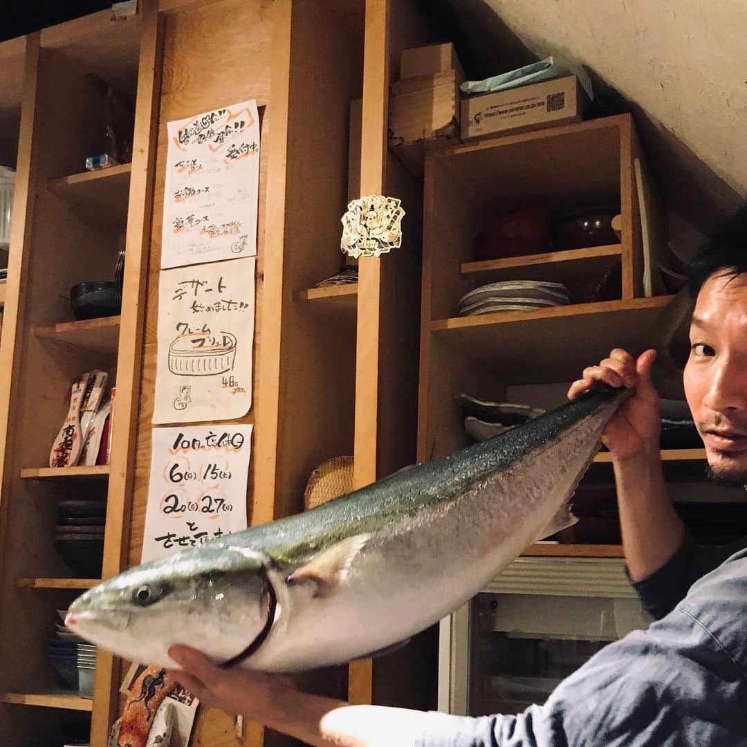 柏木作夢さんのインスタグラム写真 - (柏木作夢Instagram)「鰤 #いつかの #鰤 #ブリ #魚 #天然」10月9日 9時13分 - samukashiwagi