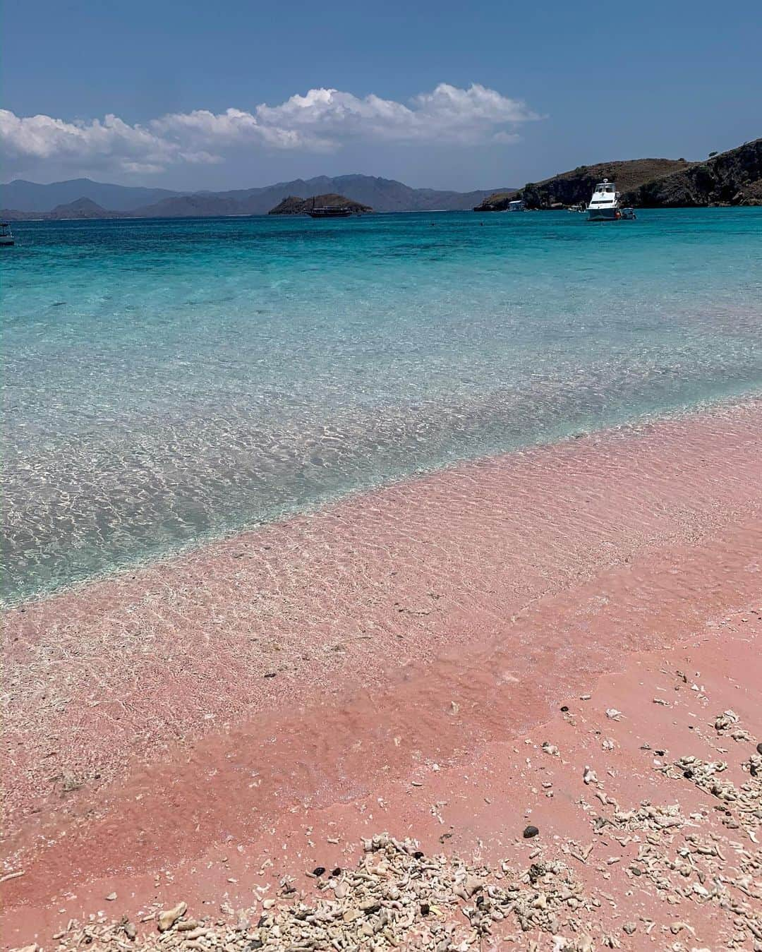 植野有砂さんのインスタグラム写真 - (植野有砂Instagram)「I haven’t trusted the photos but pink beach was literally PINK 💝💕🎀🏩🎟🍑🌸🦄🐽👙🧠👅😍!!!!! @ayanakomodo のツアーで行けるピンクビーチに行ってきました！正直、写真を見て現地に行って写真が盛れてることのが多いからそんなに期待してなかったんだけど笑、ほんっとにピンクだった😭🦄💝💝かわいすぎて、しかも海も綺麗で、人も少なくてずーっとここにいたかったな。これだけのためにコモド島に行く価値あるくらい🙏🏻💓 #ayanakomodo #ayanainstameet #labuanbajo #komodo#コモド島#pinkbeach #ピンクビーチ」10月9日 11時59分 - alisaueno