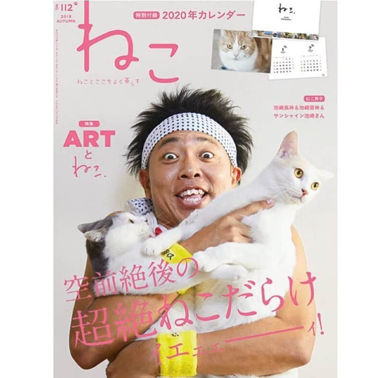 ねこのインスタグラム