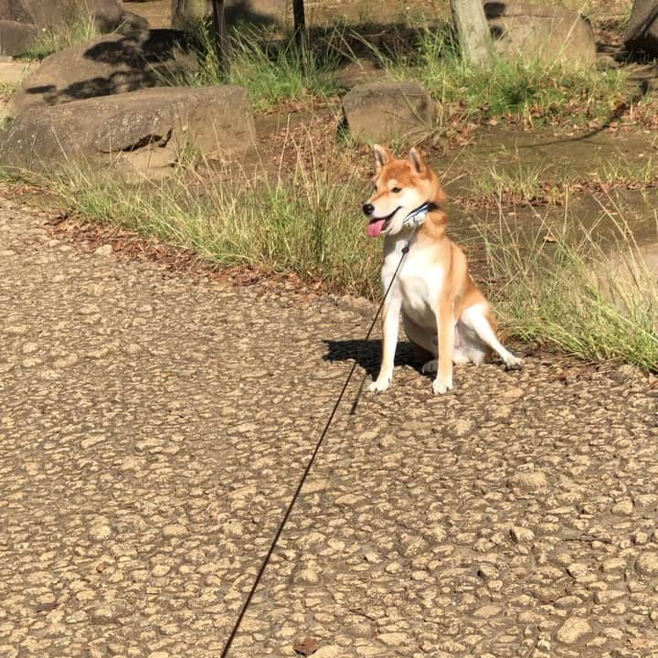 舞名里音のインスタグラム