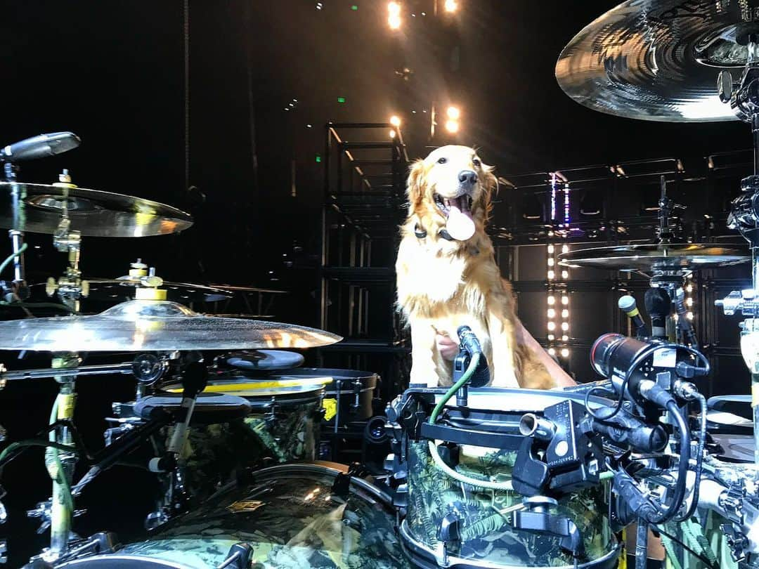 ジョシュ・ダンのインスタグラム：「Hello friends and also enemies. We’re on tour again starting tonight and I’m going to hit my drums as hard as I can. Here is a photo from rehearsal.」