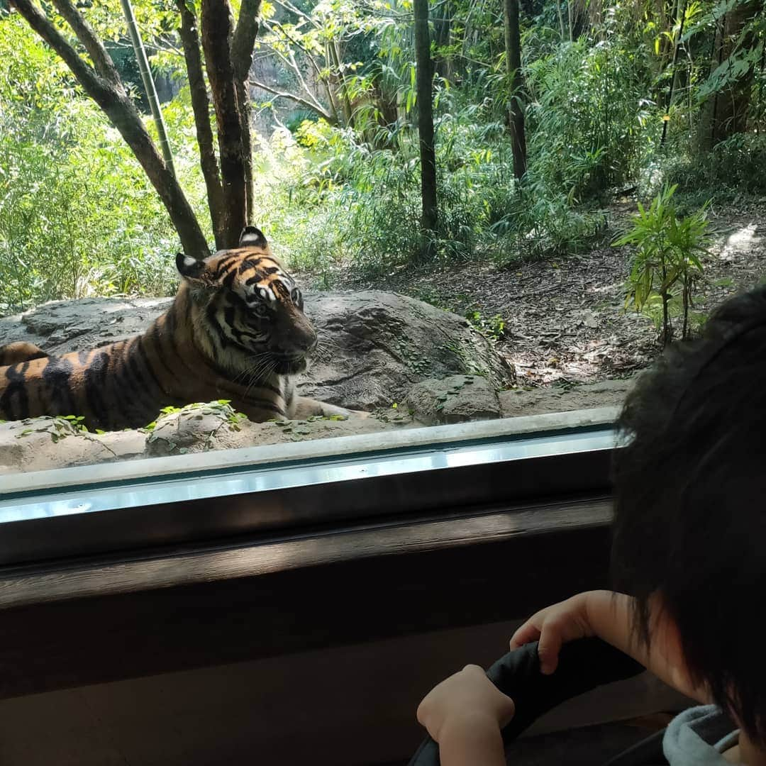 宮下ともみのインスタグラム