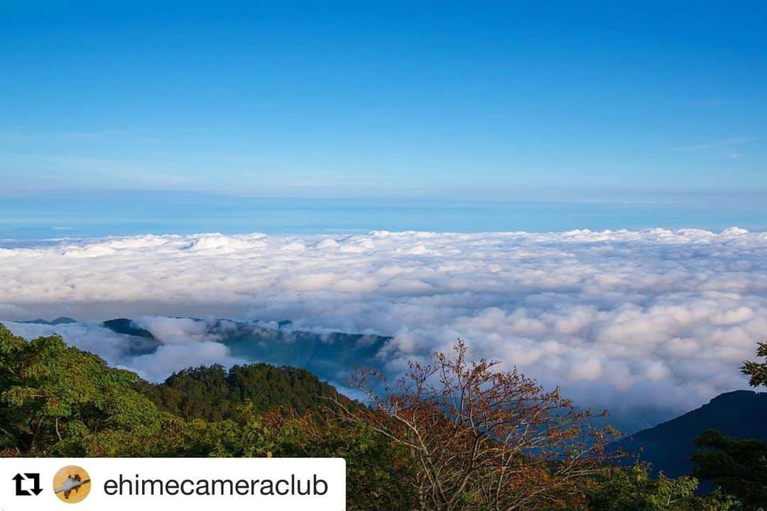 西条市さんのインスタグラム写真 - (西条市Instagram)「@ehimecameraclub さんの投稿を紹介！﻿ ﻿ 石鎚が見せてくれた﻿ 空海雲山のレイヤーです（╹◡╹）﻿ ﻿ ・・・﻿ ﻿ 青空と雲海﻿ ﻿ location:愛媛県西条市﻿ ﻿ 石鎚山から見た風景。﻿ ﻿ 雲海と瀬戸内海と青空が同時に見れました。﻿ ﻿ #愛媛県 ﻿ #西条市 ﻿ #石鎚山 ﻿ #みんなの登山記 ﻿ #登山記me ﻿ #海賊フォト ﻿ #shikoku_trip ﻿ #setouchi_gram ﻿ #lovesaijo ﻿ #japan_of_insta ﻿ #bestjapanpics ﻿ #東京カメラ部 ﻿ #四国八十八景 ﻿ #tokyocameraclub ﻿ #japantrip ﻿ #lovers_nippon ﻿ #bestphoto_japan ﻿ #art_of_japan_ ﻿ #jalan_net ﻿ #四国勝手に観光スポットpr ﻿ #愛媛県勝手に観光スポットpr ﻿ #setouchigram90 ﻿ #japantravelphoto ﻿ #rakutentravel ﻿ #JoyTB ﻿ #discover ﻿ #jalan_travel ﻿ #絶景delic ﻿ #superbview」10月9日 17時48分 - lovesaijo