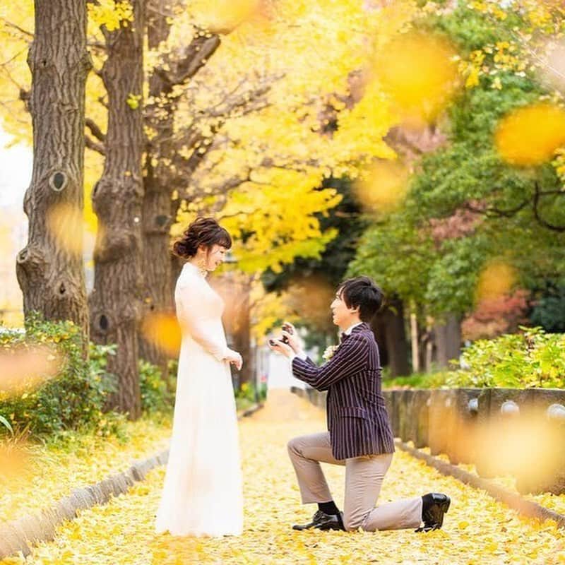 デコルテウエディングフォトグループさんのインスタグラム写真 - (デコルテウエディングフォトグループInstagram)「【秋の前撮り🍁】銀杏並木で撮る結婚写真💍純白ドレスが映える、美しい「秋の絨毯」は11月中旬がベストシーズン！﻿ ﻿ 秋は紅葉やコスモスなど、﻿ 美しい撮影スポットがたくさんありますよね✨﻿ ﻿ 今回ご紹介する「銀杏並木」もその一つ。﻿ 撮影時期は？衣装は？﻿ ﻿ 本日は、そんな花嫁様の疑問にお答えします！﻿ ﻿ ﻿ 【１】銀杏並木の撮影シーズンは？﻿ ﻿ 毎年若干のズレはありますが、﻿ 銀杏並木は11月中旬がベストシーズンだと﻿ 言われています！﻿ ﻿ 都内では明治神宮外苑などが有名ですね◎﻿ まだご予約も間に合いそうですよ🙆‍♀️﻿ ﻿ ﻿ 【２】和装・洋装どちらがおすすめ？﻿ ﻿ 基本的には和装・洋装﻿ どちらも相性が良い銀杏並木。﻿ ﻿ 紅葉の撮影時は和装が多く、﻿ 銀杏並木の撮影時は洋装が多い傾向に♩﻿ ﻿ ﻿ 【３】銀杏並木の良いところ﻿ ﻿ 銀杏並木では散った葉が「黄色い絨毯」となり﻿ 地面も美しく彩ってくれる優秀な撮影スポット。﻿ ﻿ 紅葉は撮影シーズンが少し短い上、﻿ 葉の色が変色するなどして﻿ 散った後に撮影すると少し見劣りする傾向に。﻿ ﻿ 銀杏並木はベストシーズンを超えても﻿ 長く美しい空間を楽しむことができますよ💕﻿ ﻿ ﻿ ロケ撮影や前撮りのご質問などは﻿ プロフィールのリンクからどうぞ📩﻿ @decollte_weddingphoto﻿ ご連絡、ご予約、お待ちしております！﻿ ﻿ 📸1枚目﻿ photographer @negiphotography_decollte﻿ studio @studioaqua_yokohama﻿ ﻿ 📸2枚目﻿ photographer @r.takeuchi_studioaqua﻿ studio @studioaqua_yokohama﻿ ﻿ 📸3枚目﻿ photographer @k_nakamura_studioaqua﻿ hairmake @miterashi.hm_aqua﻿ studio @studioaqua_shibuya﻿ ﻿ ﻿ #令和婚 #2019秋婚 #2019年秋婚 #ウェディングフォト #結婚写真 #フォトウェディング #ウェディングニュース #ウェディングヘアスタイル #ロケーション撮影 #前撮り #後撮り #花嫁準備 #花嫁コーディネート  #卒花嫁 #結婚準備 #花嫁 #d_weddingphoto #フォトジェニックブライドアンバサダー#銀杏 #いちょう並木 #銀杏並木 #大人花嫁 #洋装  #洋装前撮り#ロケ前撮り#前撮り洋装 #プレ花嫁 #ナシ婚 #全国のプレ花嫁さんと繋がりたい  #全国の花嫁さんと繋がりたい」10月9日 18時04分 - decollte_weddingphoto
