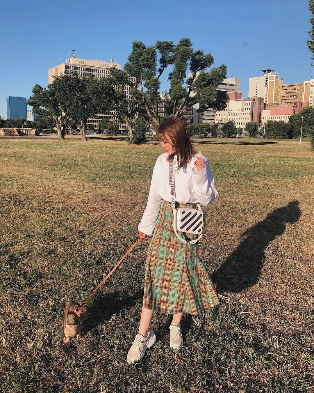 藤川沙弥のインスタグラム：「台風が来る前に思いっきり﻿ 走らせにきた🐶🌿笑﻿ ﻿ リンは超マイペースな子で﻿ 本当に性格が面白いんです。笑﻿ ﻿ 毎日何かしら笑わせてもらってる😚﻿ 毎日ひたすら重い愛を伝えてます🥺﻿ ﻿ ﻿ ﻿」