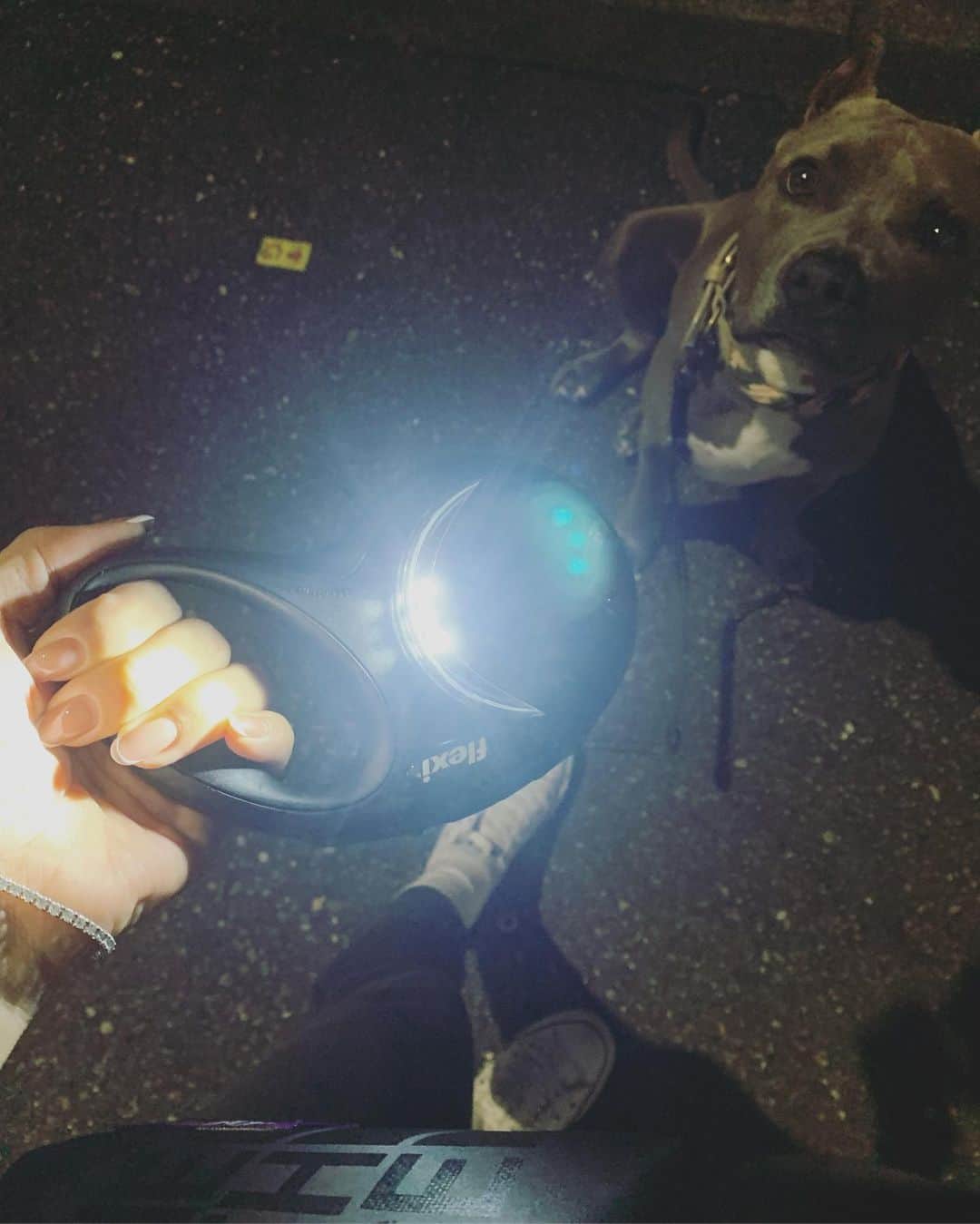 鈴木六夏さんのインスタグラム写真 - (鈴木六夏Instagram)「暗くなるのが早くなってきたので お散歩に新兵器導入✨ #dog #flexi #お散歩より寝ていたいビーくん」10月9日 19時35分 - rikuka.62