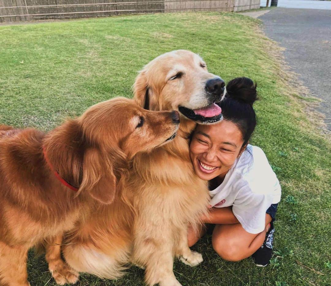 大村 奈央さんのインスタグラム写真 - (大村 奈央Instagram)「💛🧡❤️💗❤️🧡💛 #goldenretriever #dogs #ゴールデンレトリバー」10月9日 20時12分 - naoomura